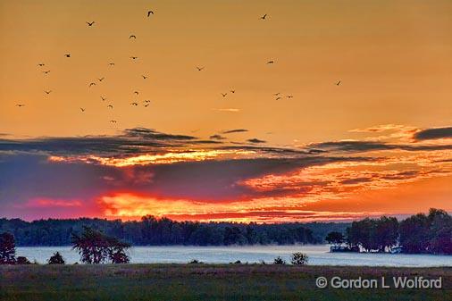 Gulls In Sunrise Flight_18012.jpg - Rideau Canal Waterway photographed near Smiths Falls, Ontario, Canada.